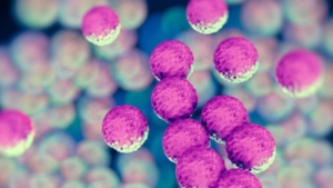 avrupayi-korkutan-yeni-mrsa-turu-cocuklarda-artis-gosteriyor-VWcrwUr9.jpg
