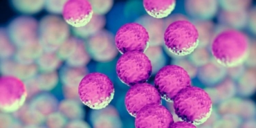 avrupayi-korkutan-yeni-mrsa-turu-cocuklarda-artis-gosteriyor-VWcrwUr9.jpg