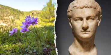 caligulanin-gizemli-bitkilere-olan-ilgisi-ve-siradisi-yonleri-KOVgqZiu.jpg