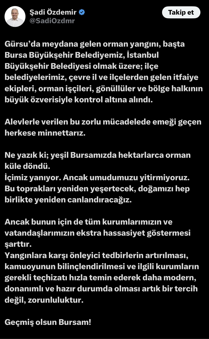 Yangından Geride Kalanlar ve Yeniden Yeşertme Çabaları
