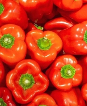 kirmizi-yesil-ve-sari-dolmalik-biberler-hangisi-saglik-acisindan-one-cikiyor-E9pVHx9g.jpg