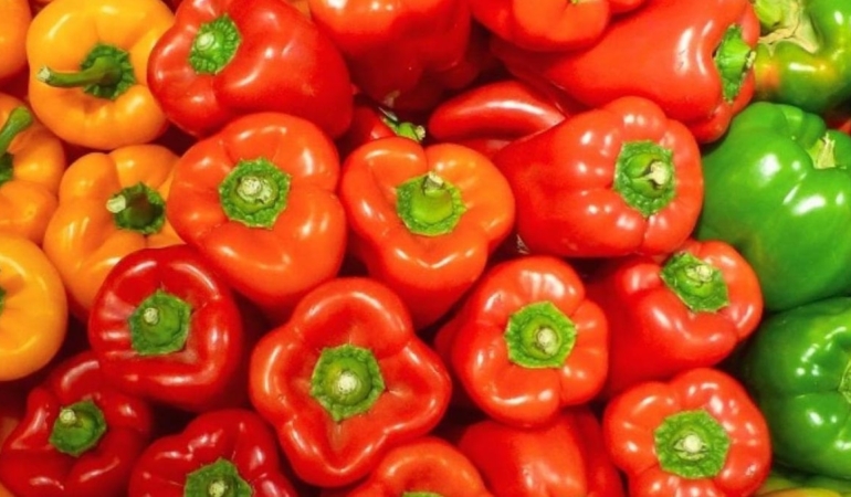 kirmizi-yesil-ve-sari-dolmalik-biberler-hangisi-saglik-acisindan-one-cikiyor-E9pVHx9g.jpg