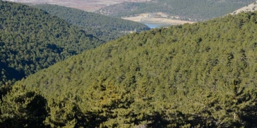 nigdede-orman-girisleri-yasaklandi-JzgAUK55.jpg