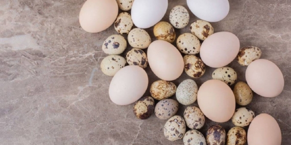 tavuk-yumurtasi-mi-bildircin-yumurtasi-mi-hangisi-daha-besleyici-rYMNROO8.jpg
