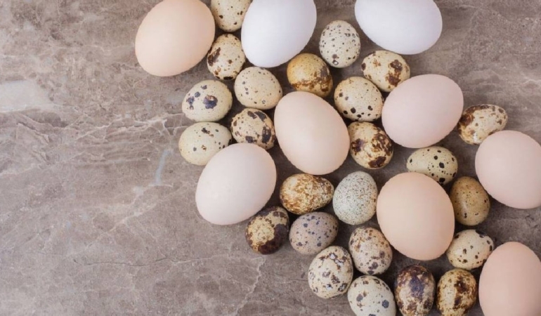 tavuk-yumurtasi-mi-bildircin-yumurtasi-mi-hangisi-daha-besleyici-rYMNROO8.jpg