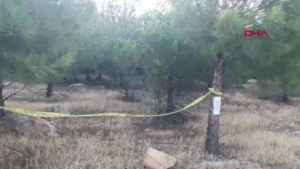 bir-ilin-daha-ormanlarina-giris-kisitlamasi-geldi-2jJnecQp.jpg