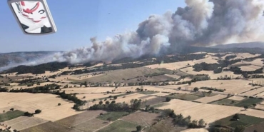 canakkale-geliboluda-korkutan-orman-yangini-inw3ul8k.jpg