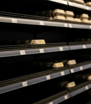 almanyada-yumurta-krizi-kus-gribi-market-raflarini-bosaltti-ne14nWHP.jpg