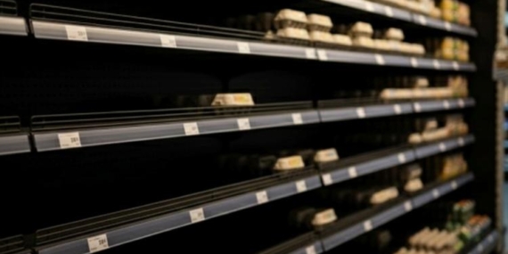 almanyada-yumurta-krizi-kus-gribi-market-raflarini-bosaltti-ne14nWHP.jpg