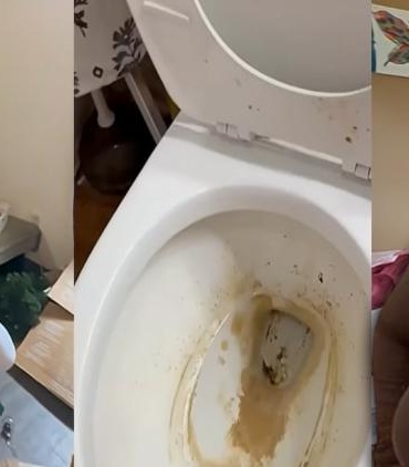 abdli-temizlik-iscisi-vanesa-amaro-dijital-girisimcilikle-multimilyoner-oldu-FIedAe5J.jpg