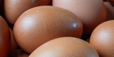 turkiyede-yumurta-fiyatlari-dustu-ureticiler-yuzde-20-zarar-ediyor-RaPtglYW.jpg