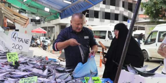 Rize'de Av Sezonu Palamut Bolluğuyla Başladı: Tanesi 50 Liradan Satılıyor