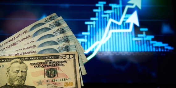 Dolar kuru 49,1630 seviyesine çıkarak tüm zamanların en yüksek değerini gördü