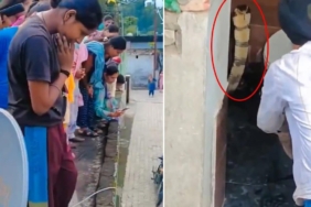 Hindistan'da bir evin tuvalet klozetinden dev kobra yılanı çıktı