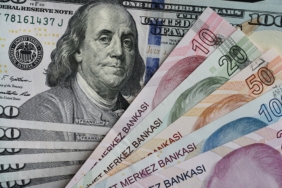 Dolar/TL 49,18 Seviyesini Görerek Yeni Zirvesine Ulaştı