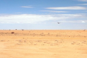 Arap Yarımadası'ndaki Kasırgaların Tetiklediği Çöl Çekirgesi İstilası Doğu Afrika ve Asya'ya Yayıldı
