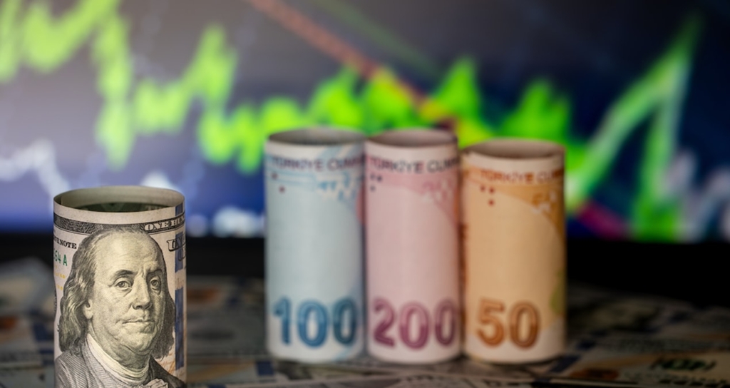 Küresel Piyasalarda Dolar Gerilerken İç Piyasada Döviz Kurları Rekor Seviyelere Ulaştı