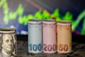 Küresel Piyasalarda Dolar Gerilerken İç Piyasada Döviz Kurları Rekor Seviyelere Ulaştı