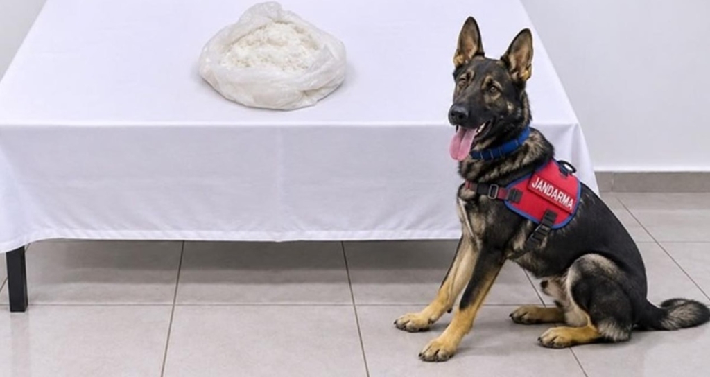 Van'da Otobüste 1 Kilo Metamfetaminle Yakalanan Yolcu Tutuklandı