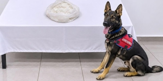Van'da Otobüste 1 Kilo Metamfetaminle Yakalanan Yolcu Tutuklandı